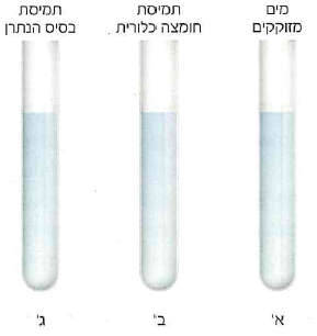 (בספר תמונה, היעזר במנחה)